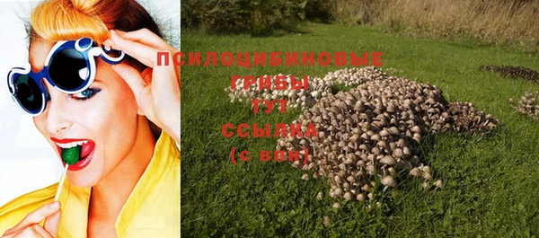 мдпв Красноперекопск