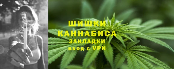 ПСИЛОЦИБИНОВЫЕ ГРИБЫ Краснослободск