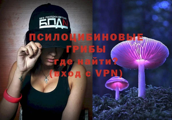 ПСИЛОЦИБИНОВЫЕ ГРИБЫ Краснослободск